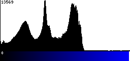 Blue Histogram