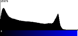 Blue Histogram