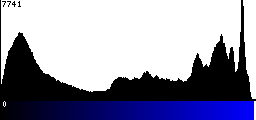 Blue Histogram