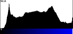 Blue Histogram