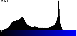 Blue Histogram