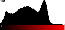 Red Histogram