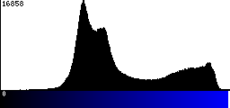 Blue Histogram