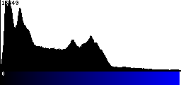 Blue Histogram