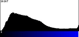 Blue Histogram