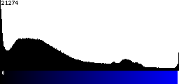 Blue Histogram