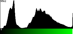 Green Histogram