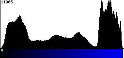 Blue Histogram