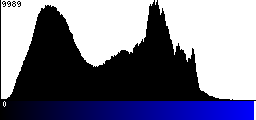 Blue Histogram