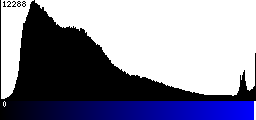 Blue Histogram