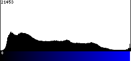 Blue Histogram