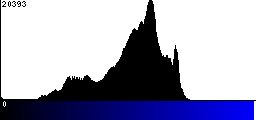 Blue Histogram