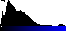 Blue Histogram