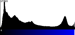 Blue Histogram