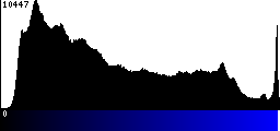 Blue Histogram