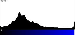 Blue Histogram