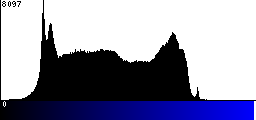 Blue Histogram