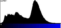 Blue Histogram