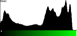 Green Histogram