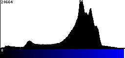 Blue Histogram