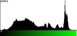 Green Histogram