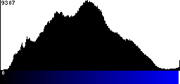 Blue Histogram