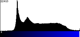 Blue Histogram