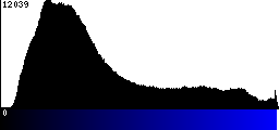 Blue Histogram