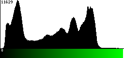 Green Histogram