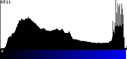 Blue Histogram