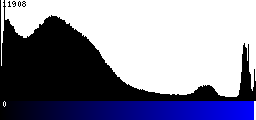 Blue Histogram