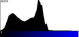 Blue Histogram