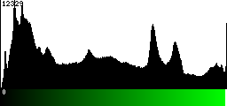 Green Histogram