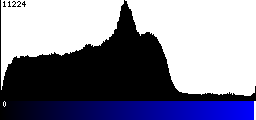 Blue Histogram