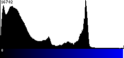 Blue Histogram