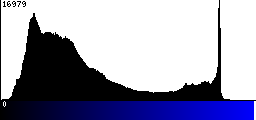 Blue Histogram