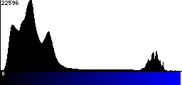 Blue Histogram