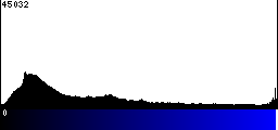 Blue Histogram