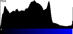 Blue Histogram