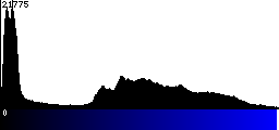 Blue Histogram