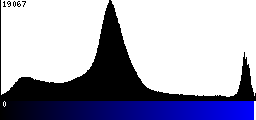 Blue Histogram