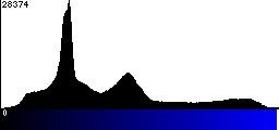 Blue Histogram