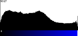 Blue Histogram