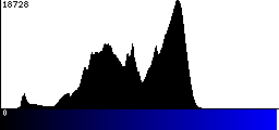 Blue Histogram