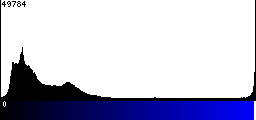 Blue Histogram