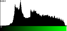 Green Histogram