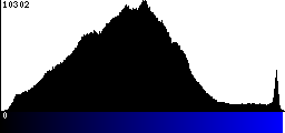 Blue Histogram