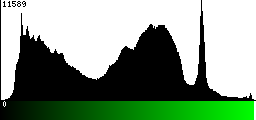 Green Histogram