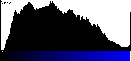 Blue Histogram