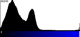 Blue Histogram